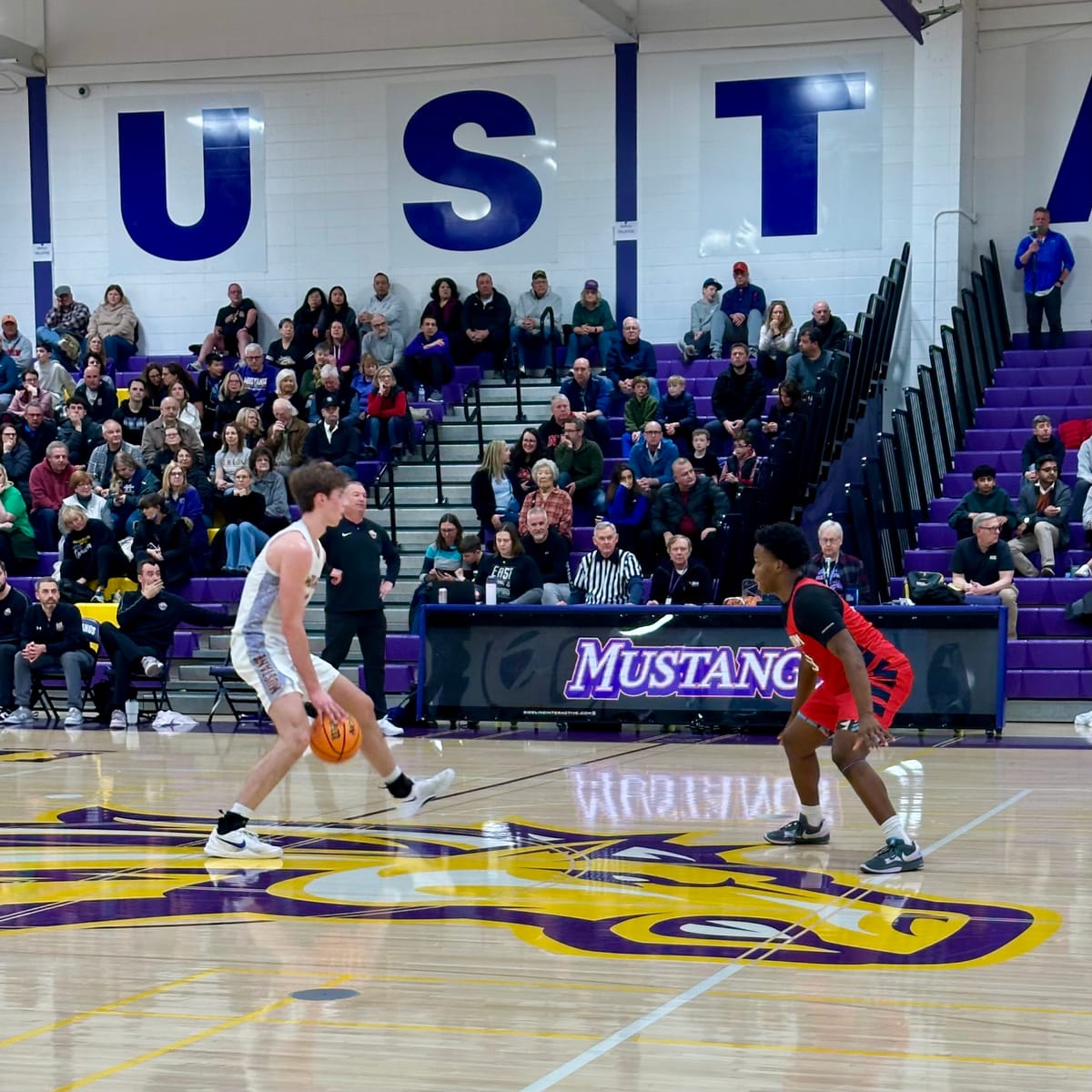 14 points in win over South Elgin to advance to regional finals